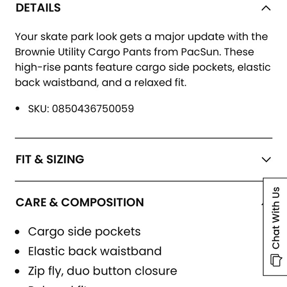 PacSun Utility Cargo Pants - Picture 11 of 12